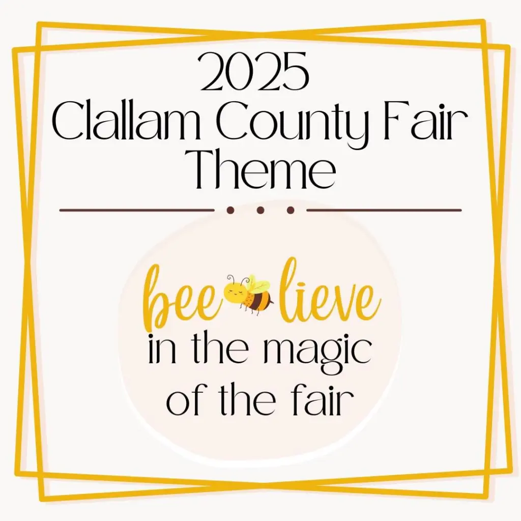 cc-fair-2025-2