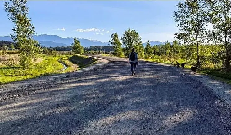 new-levee-trail-e1715715531729