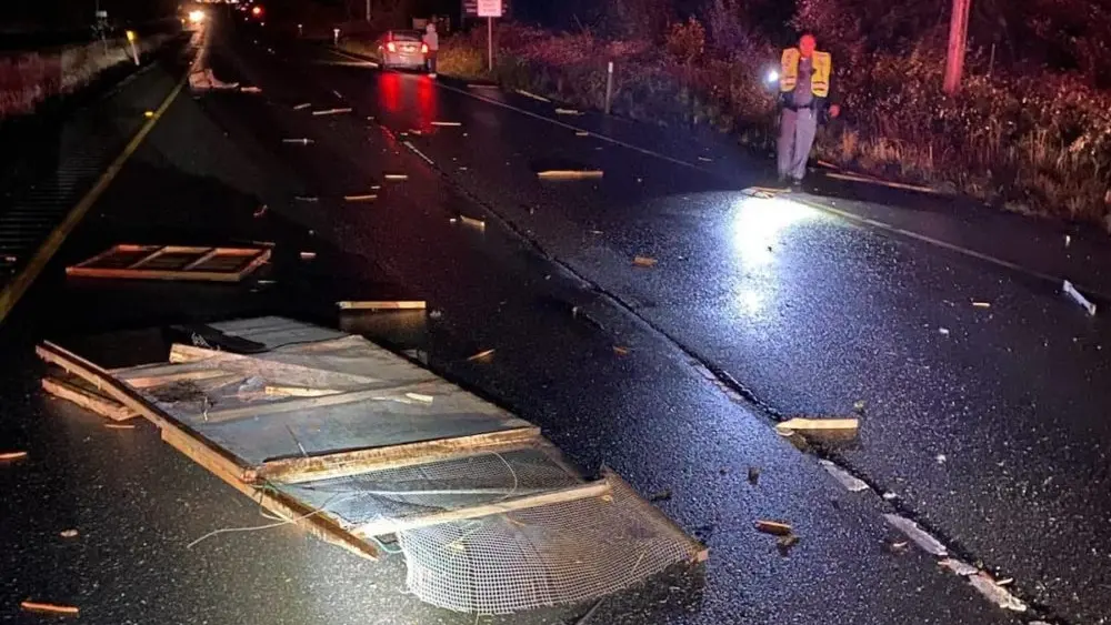 smashed-kennel-e1731623941878