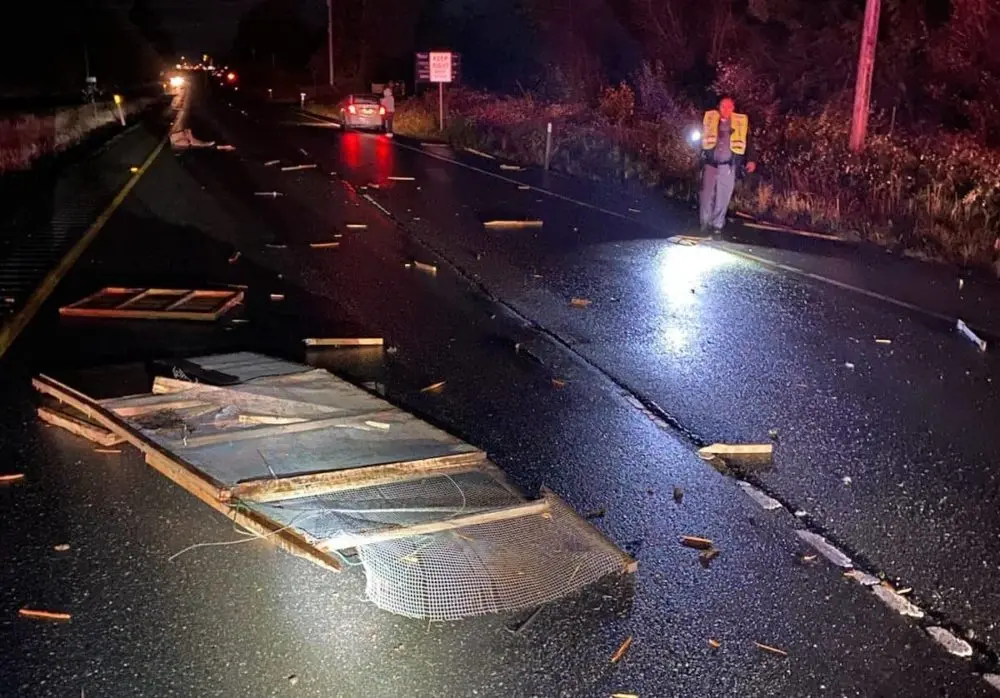 smashed-kennel-e1731623941878