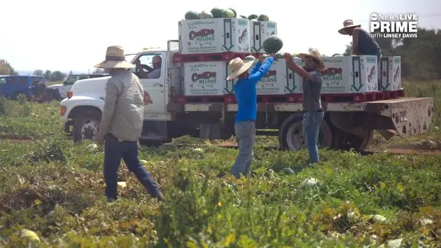 n_idaho-farm-1-abc-gmh-251015_1760536607430_hpmain_16x9709957