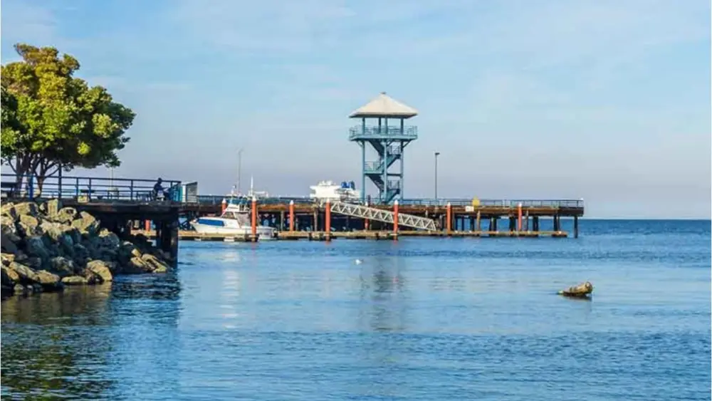 observation-tower-pa