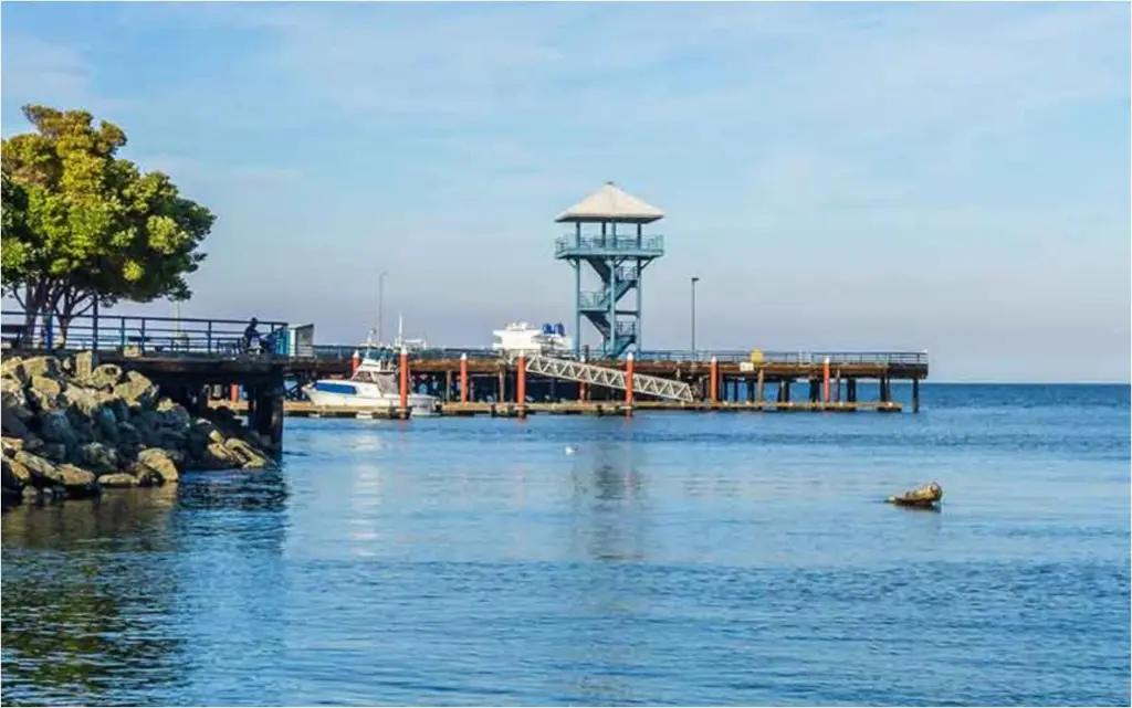 observation-tower-pa