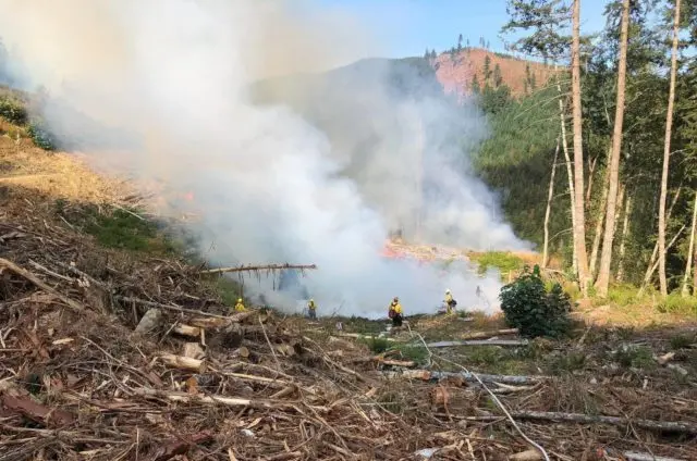 joyce-fire-by-j-cline-e1663278945149