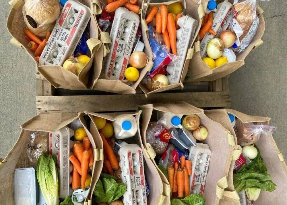 food-bank3-rotated-e1731709894904