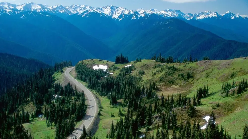 hurricane-ridge-e1753123265926