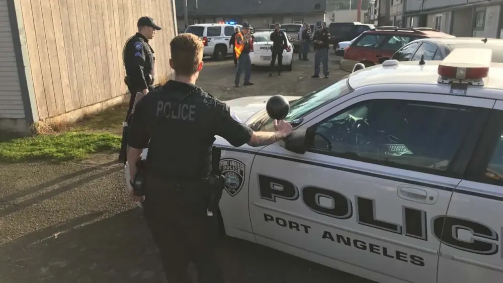 95b2630d-ae64-47d8-8a43-3e118839dd8e