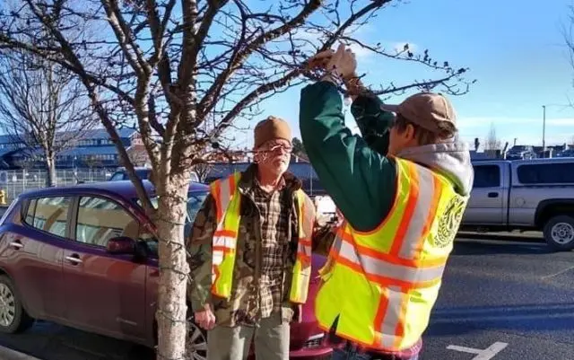 fixing-vandalized-lites-1220-e1608082365384