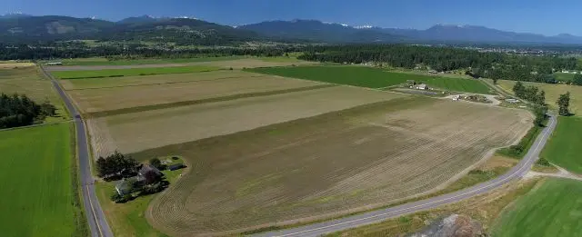 wonderland-the-80-e1536346028688-3