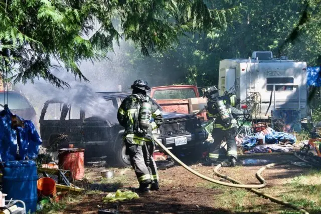 burning-bees-e1692222970844