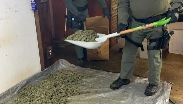 pot-3-2-e1607654006406-2