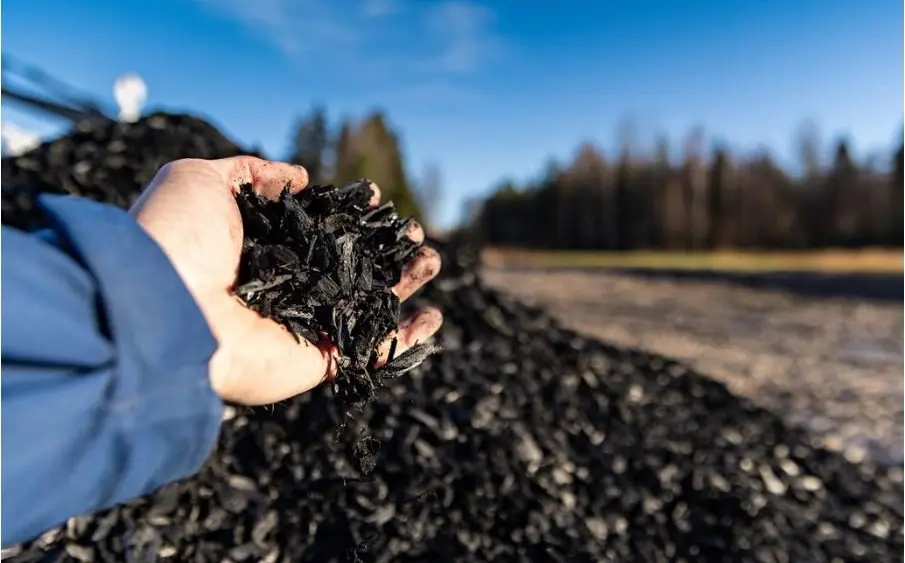 biochar