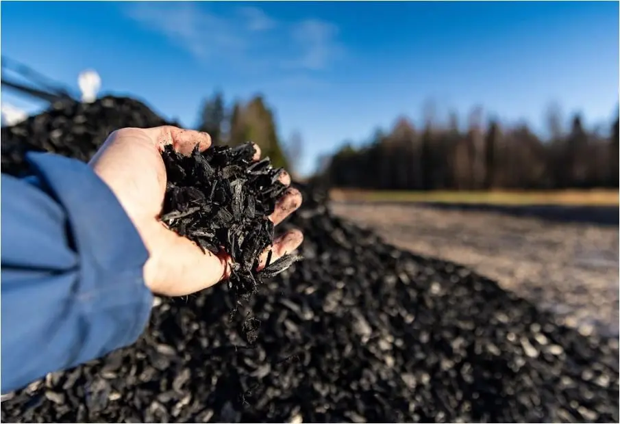 biochar