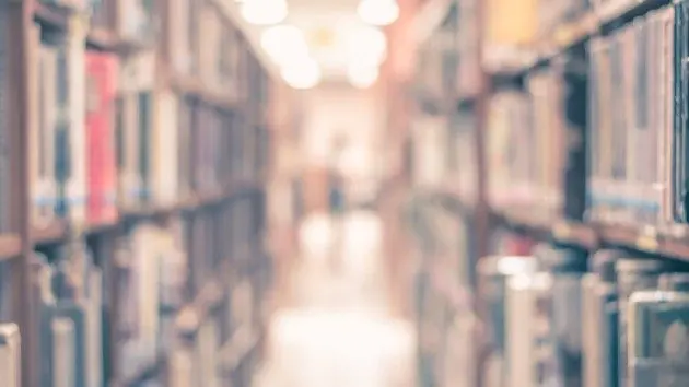 istock_101019_bookslibrary