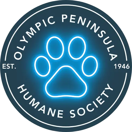 bd1781_6e3575078d6c481aadbdf1bce2992e1emv2