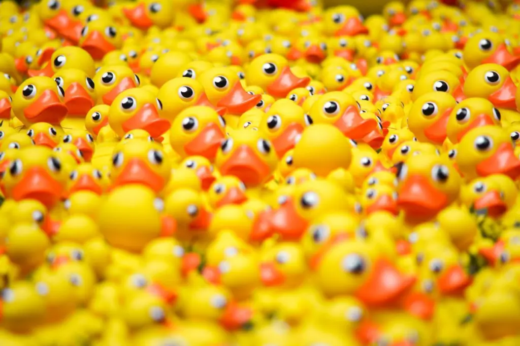rubber-ducks