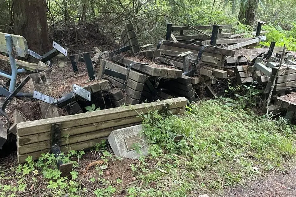 old-benches-e1721340631803