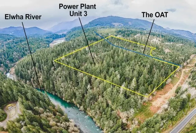 power-plant-logging-site-e1690391187464-5