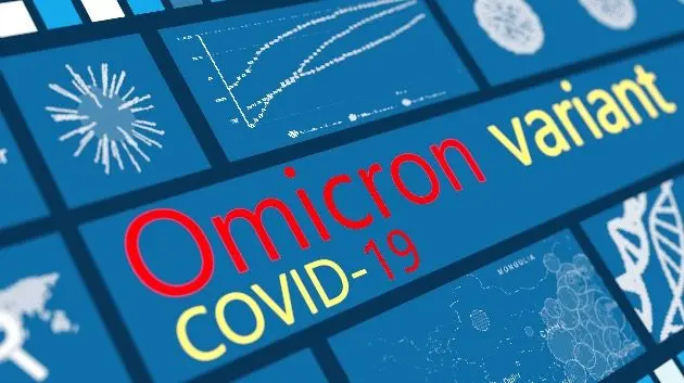 coronavirus-b-1-1-529-covid-19-variant-omicron-digital-concept