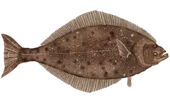 c78c277d-1291-473b-b214-de9d85c382c2