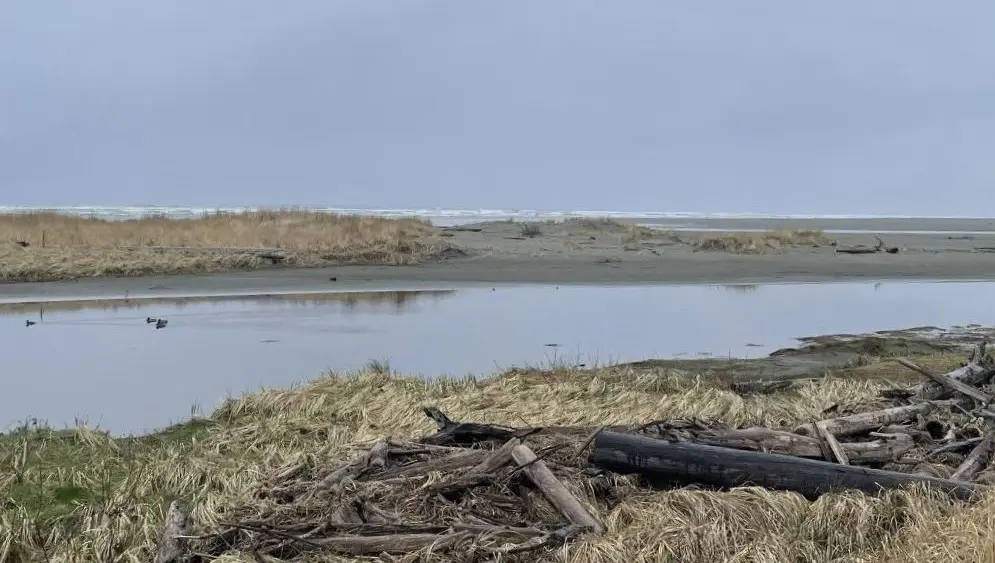 copalis-river-mouth-e1710891552171