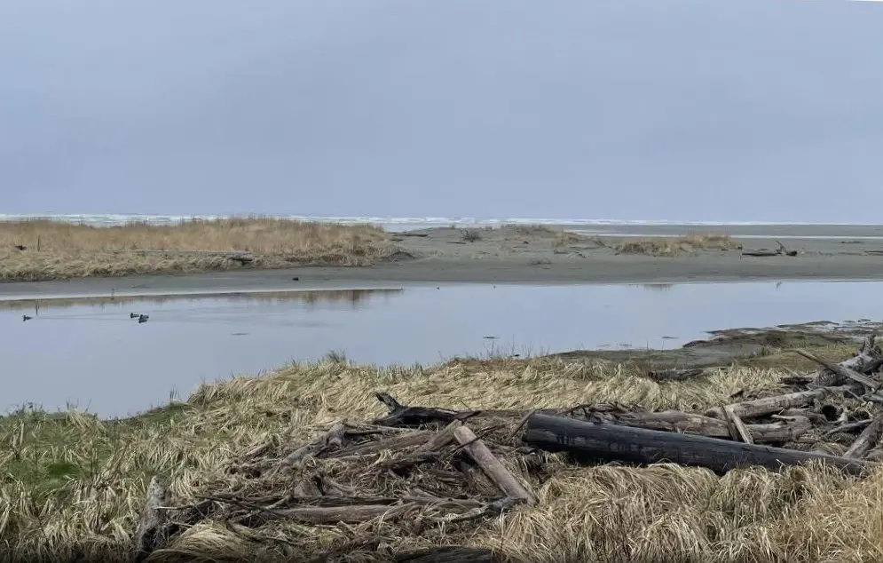 copalis-river-mouth-e1710891552171