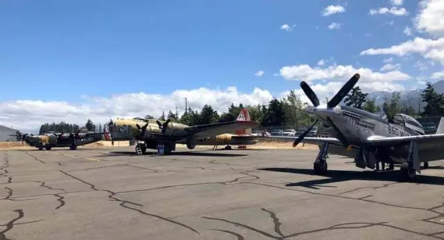 wings1-e1560984334735