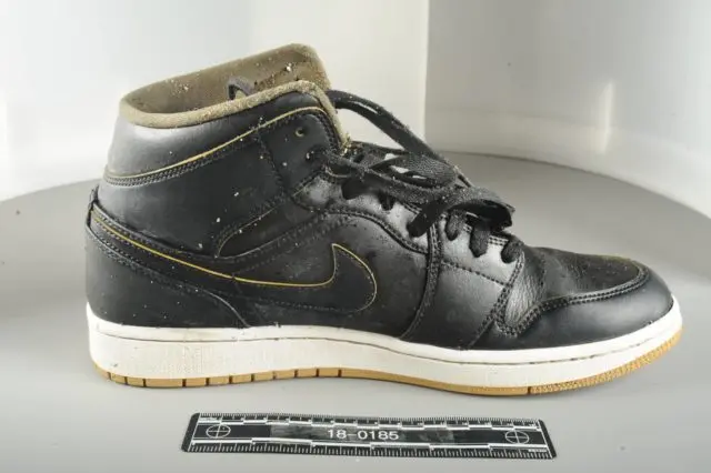 seattle-shoe-case-e1682009854452