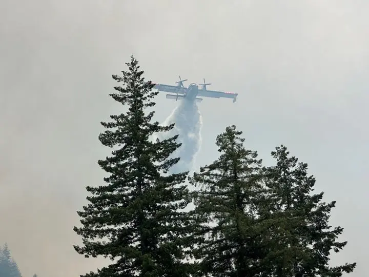 355474529_577840094538527_2333478101969080147_n