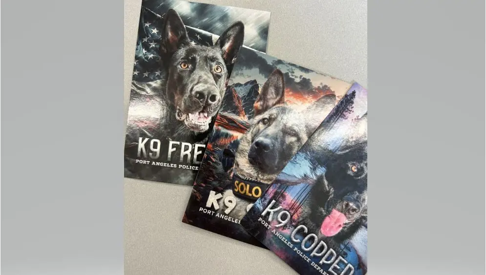 k9-cards-edit