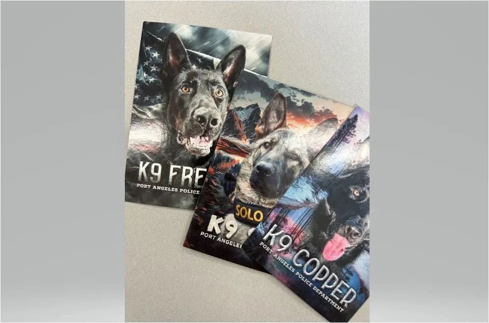 k9-cards-edit