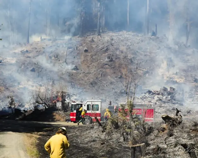 photo_1618959850087-e1619007848859