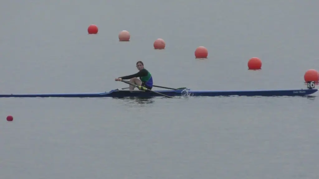 messenger_creation_274f1b10-4c74-4a7f-b493-7bbb1687ac61