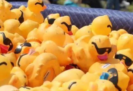 capture-e1684759800731