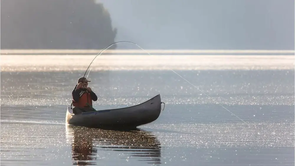 fishing-e1747944909639