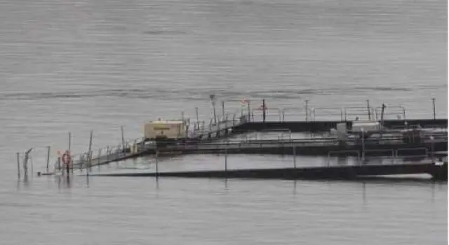 orchard-rock-net-pen-e1571784424178