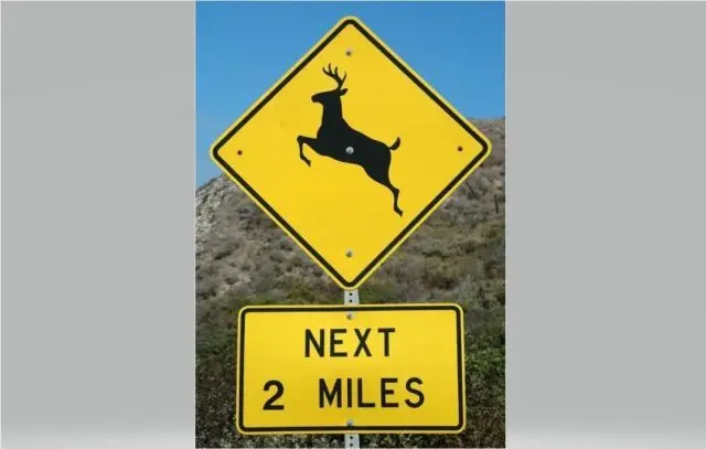 deer-crossing-edit-e1700695616284