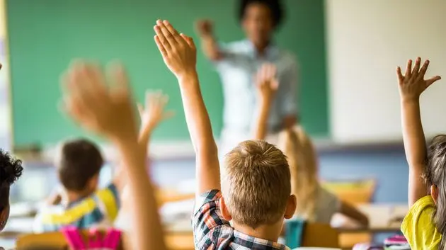 back-view-of-elementary-students-raising-their-hands-on-a-class