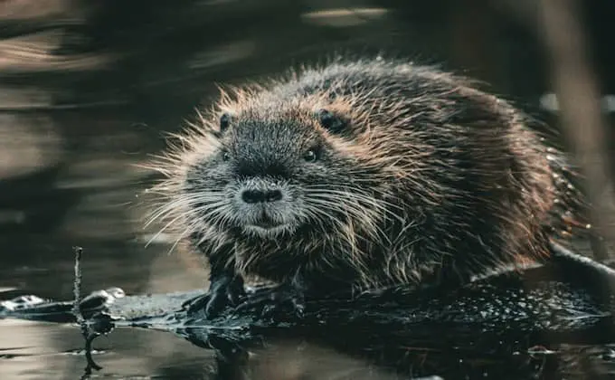 pexels-jasper-kortmann-757707790-20611022