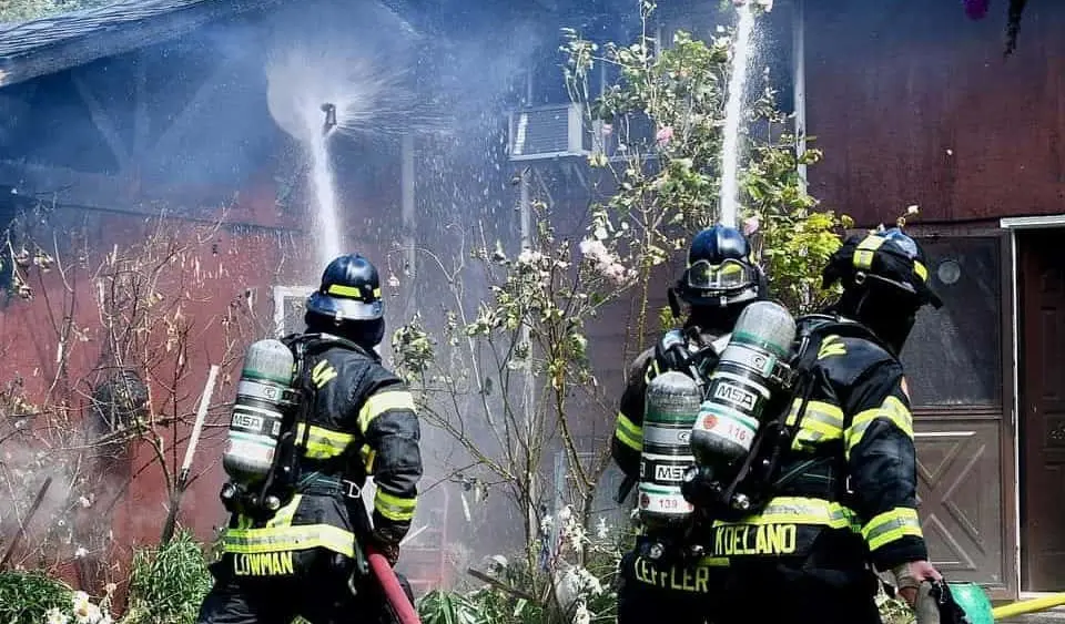 whispering-firs-fire-e1595511568701