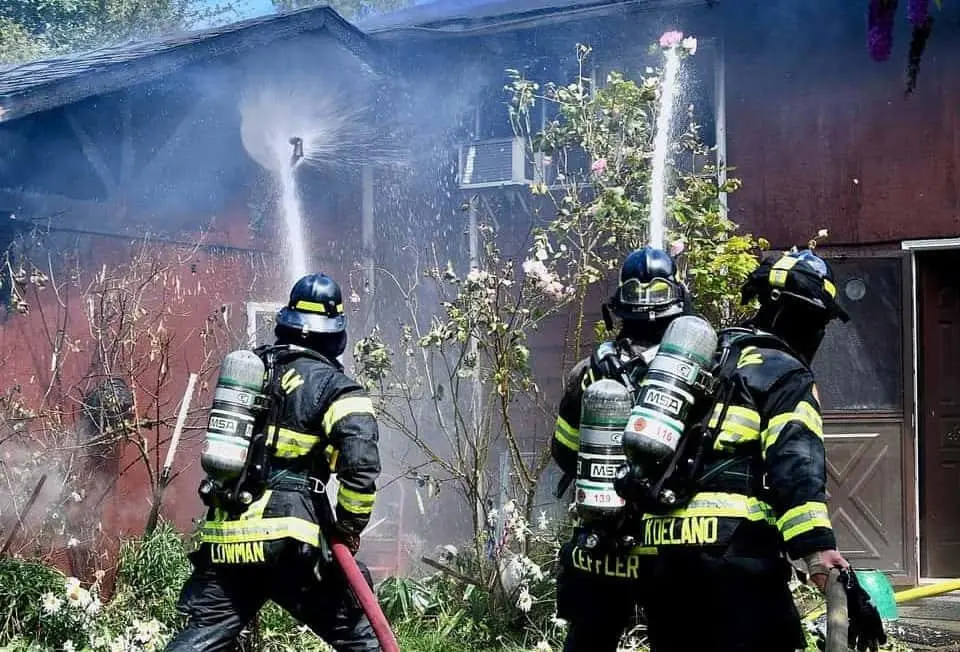 whispering-firs-fire-e1595511568701