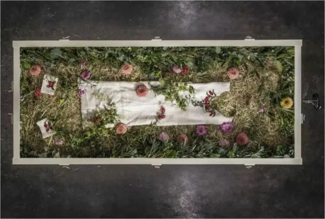 terramation-e1679597661504