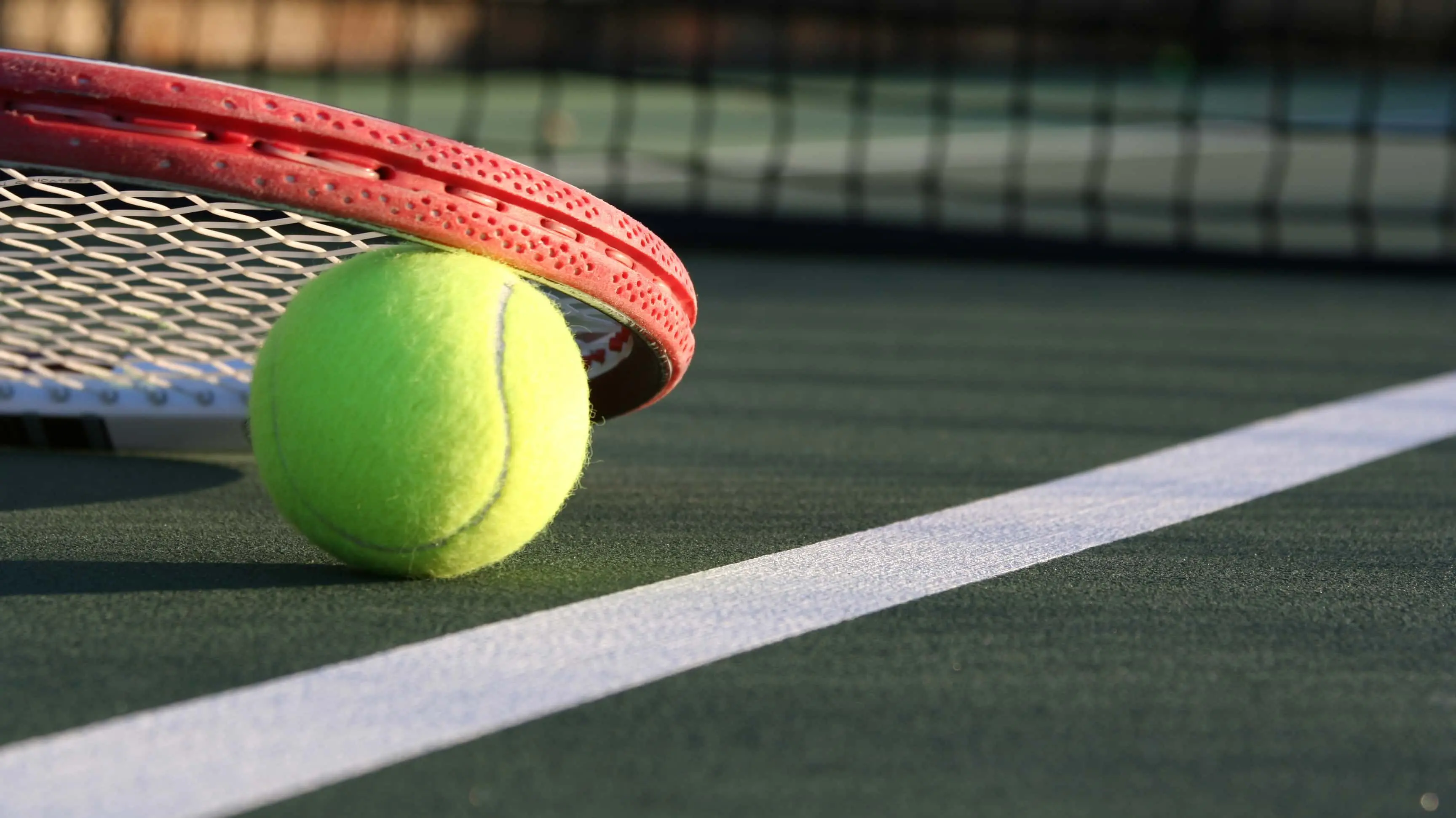 tennis-ball-racket-on-a-green-outdoor-court-2
