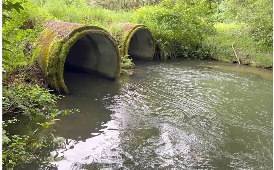 432580470_726421146290005_5548408760528252893_n