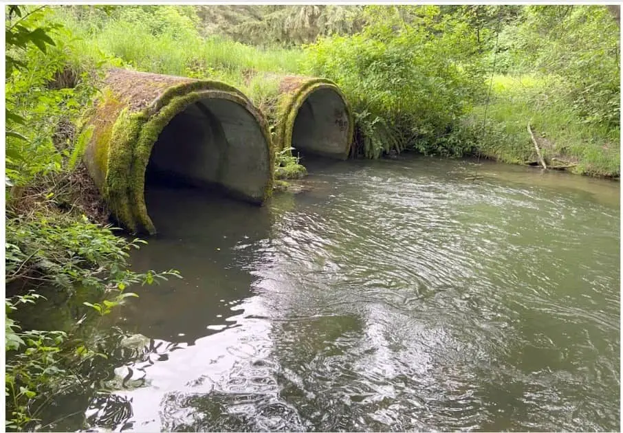 432580470_726421146290005_5548408760528252893_n