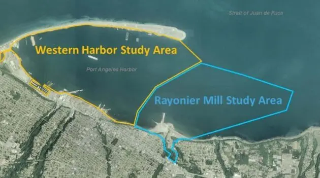 harbor-clean-up-e1579916707268