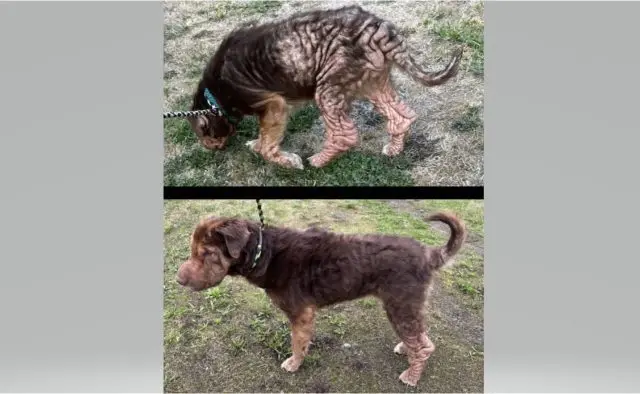 moonboots-edit-e1698274360698