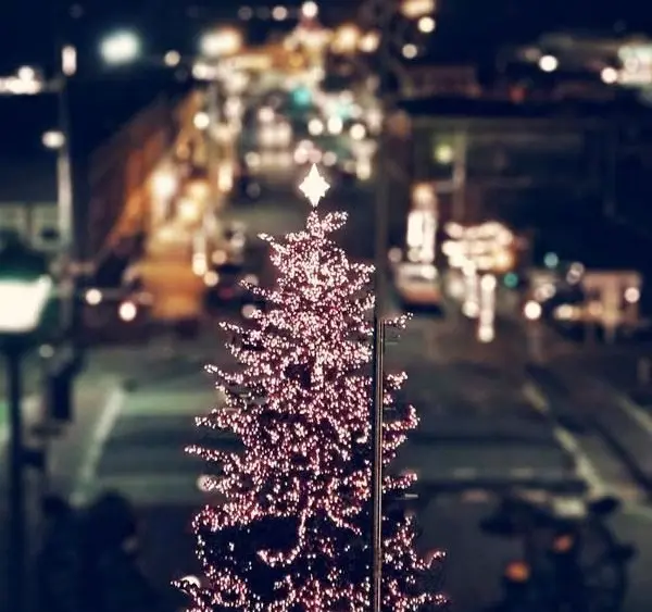 port-angeles-tree-lighting