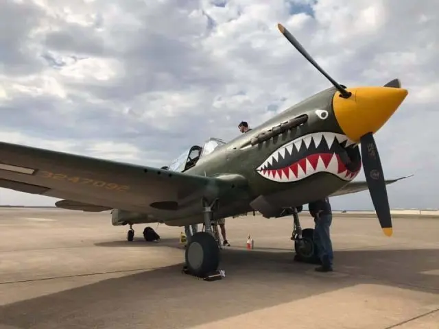 p-40-2-e1553631729883