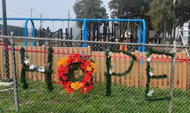 dream-playground-hope-e1708991113890-3